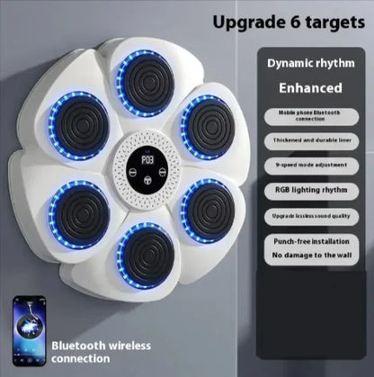 Smart Bluetooth Boxing Fitness Kit