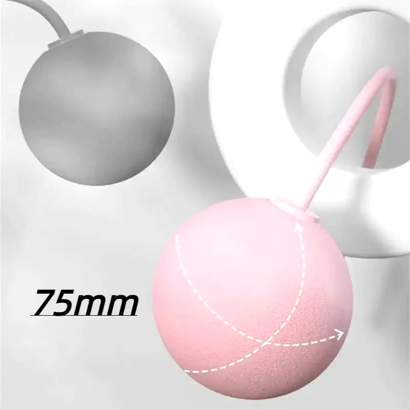 Cordless Jump Rope with Weighted Balls