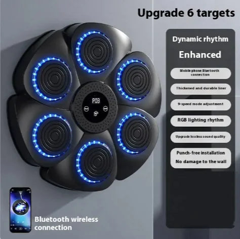 Smart Bluetooth Boxing Fitness Kit