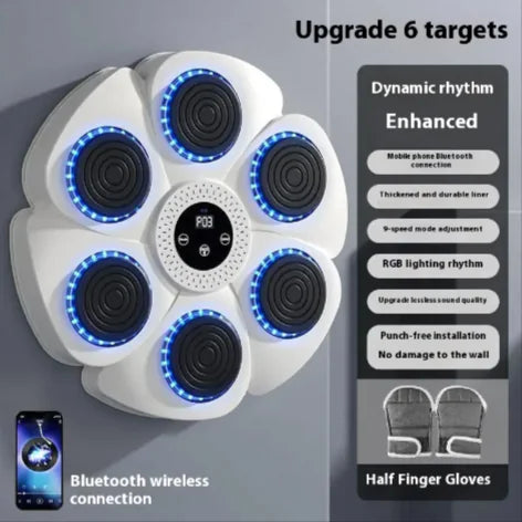 Smart Bluetooth Boxing Fitness Kit
