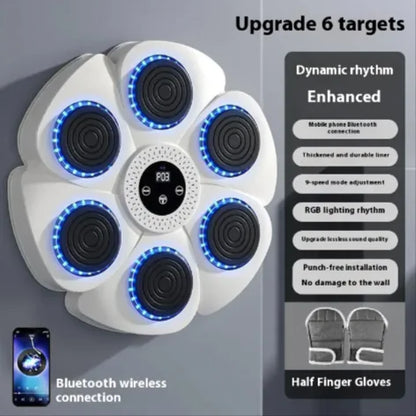 Smart Bluetooth Boxing Fitness Kit